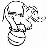 Elephant Circus Coloring Pages Standing Kids Ball Show Color Button Using Print Grab Could Welcome Right Also sketch template