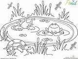 Frogs Activities Ranas Estanques Infantiles Estanque Habitats Colorier Lire Leerlo Lagoa Sapo Farm étang Visit sketch template