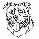 Staffy Pages Colouring Bull Terrier sketch template