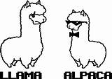 Coloring Llama Cute Pages Contents sketch template