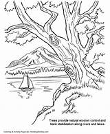 Coloring Pages Arbor Trees Honkingdonkey Riverbank Holiday Tree sketch template