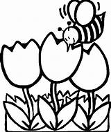 Coloring Bee Color Sheet Animals Town sketch template