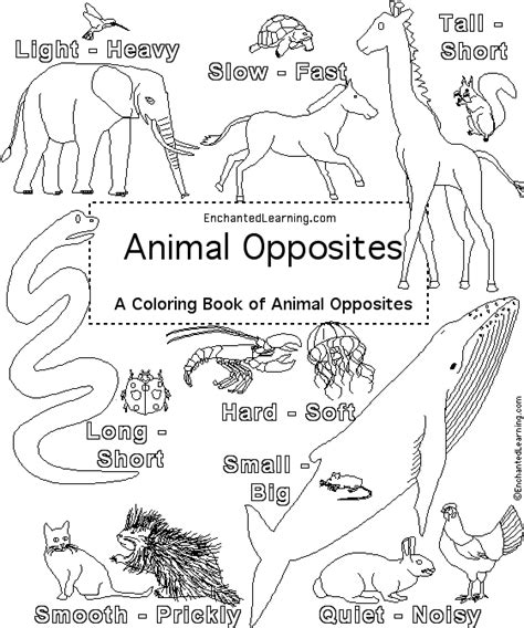 animal opposites coloring book cover page enchantedlearningcom