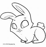 Bunnies Rabbits Sitting Diwarnai Hitam Sketsa Kelinci Lucu Coloringhome sketch template