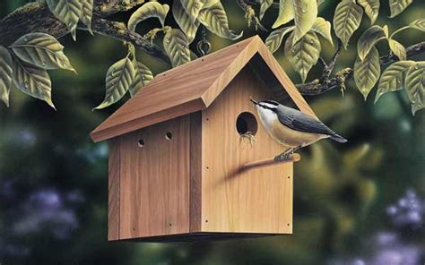 types  birdhouses house plans