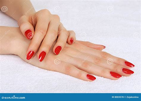 manicured hands stock photo image  healthy health