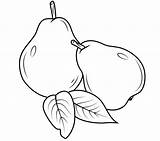 Peras Pera Colorir Birnen Mewarnai Pere Buah Fruit Pears Paud Birne Zwei Buahan Ausmalbilder Kolorowanki Imprimir Usia Sketsa Gruszki Dini sketch template