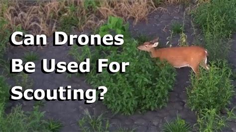 drones    scouting youtube