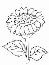 Sonnenblume Malvorlage Malvorlagen Sonnenblumen Einfach sketch template