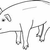 Coloring Pig Mud Bath Piggy Bank Look sketch template