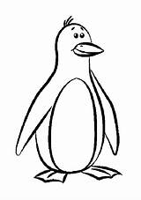 Coloring Pages Animal Zoo Penguin Coloring4free Cute Related Posts sketch template
