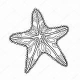 Starfish St3 sketch template