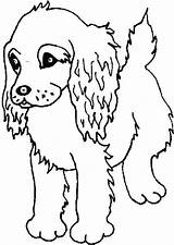 Coloring Puppy Spaniel Pages Printable Cocker Print Puppies Boykin Springer Dogs Dog Drawing Colouring Kids Lab Cute Sheets Grade Adorable sketch template