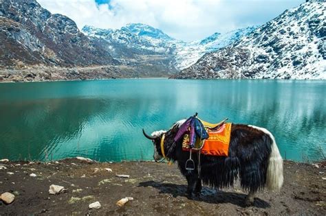 gangtok in summer 2019 how to spend your vacation in sikkim