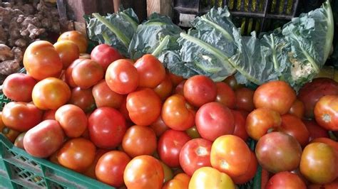 Love These Tomatoes Tropical Fruits Tomato Fruits And
