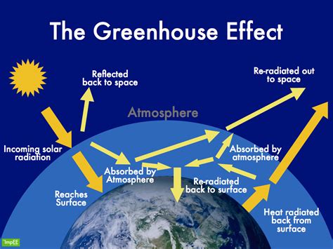 apes carbon cycle   greenhouse effect ap environmental