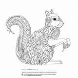 Enchanted Forest Squirrel Popsugar Coloring Book sketch template
