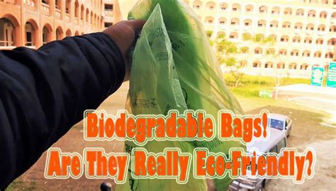 Biodegradable Plastic Bag Is Made From Corn Starch