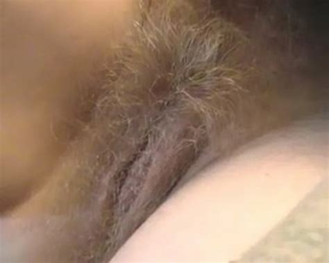 forumophilia porn forum hot n nice hairy cream pies