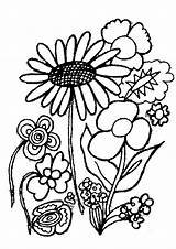 Coloring Flowers Pages Flower Plants Coloringpages1001 sketch template