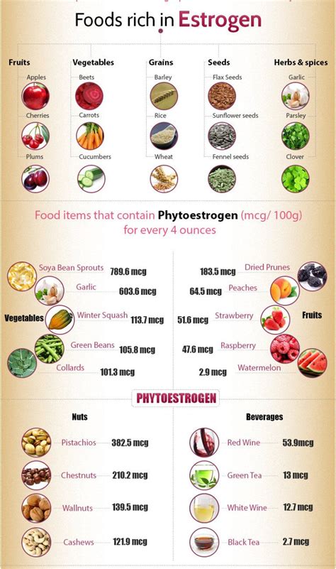 estrogen rich foods estrogen rich foods estrogen foods