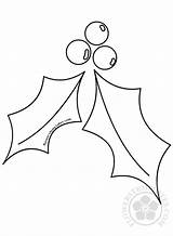 Holly Leaves Xmas Coloring sketch template