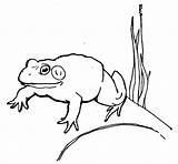 Frog Coloring Leaping Pages Cliparts Clipart Library sketch template