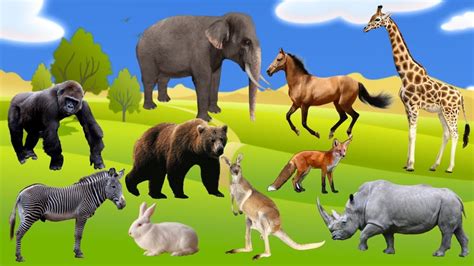 learning animals names  sounds  kids learn toddlers  babies