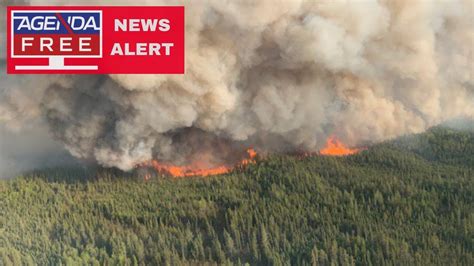 evacuated  alberta wildfires  coverage youtube