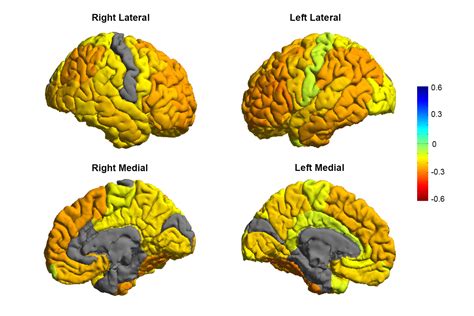 scientists reveal    map   bipolar brain