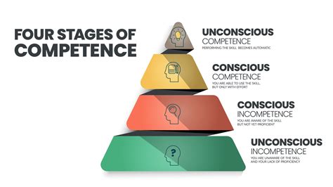 stages  competence   conscious competence learning model relates