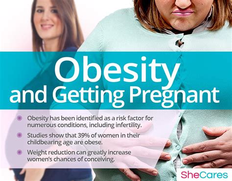 obesity and getting pregnant shecares