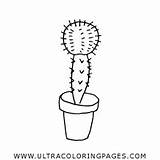 Kaktus Ultracoloringpages Página Cacto sketch template