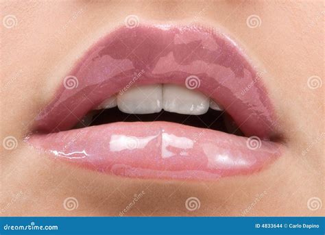 mouth  teeth stock photo image  glamour beauty