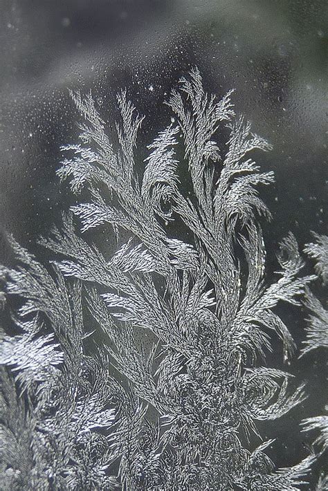 ice crystals nature Зимний снег Снег и Лед
