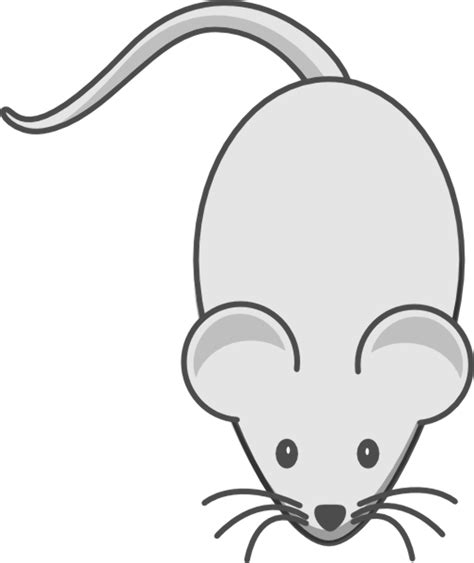 high quality mouse clipart outline transparent png images