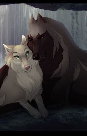 The Black And White Wolf Anime Love Story On Hold Mo