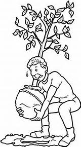 Sadzenie Kolorowanka Drzewa Ausmalbilder Pflanzen Baum Kolorowanki Ausmalbild Kategorii Druku sketch template