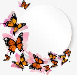 Butterfly border, Box, Butterfly Vector, Border Vector PNG  