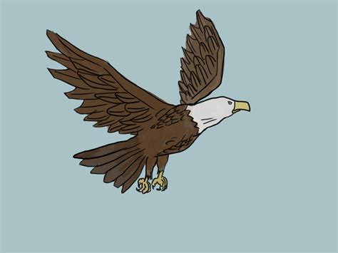 ways  draw  eagle wikihow