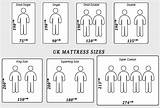 Mattress Chart Coolguides Mattresses Ift Twin sketch template