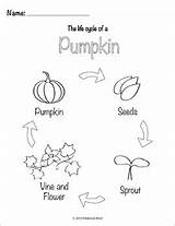 Cycle Life Pumpkin Activities Subject sketch template