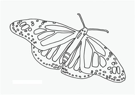 gambar mosaic coloring pages kids home butterfly printables  rebanas