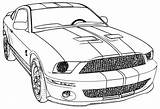Shelby Gt500 sketch template