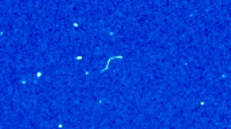 ufo sightings daily alien craft caught on nasa camera zig