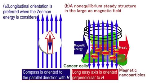 hyperthermia treatment  cancer  magnetic nanoparticles