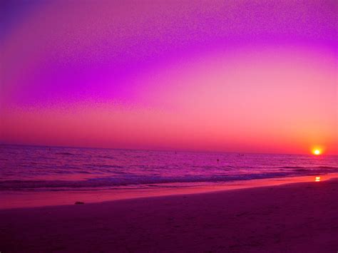 sun  setting   beach  purple hues