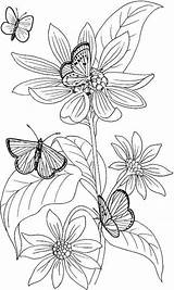 Coloring Pages Adults Flower Printable Adult Colouring Pansy Book Abstract Kids Flowers Print Sheets Fairies Color Butterflies Drawing Unique Butterfly sketch template