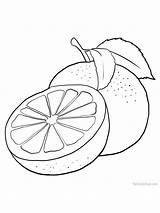 Grapefruit Coloriage Grape sketch template