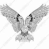 Zentangle Aquila Stilizzato Stylized Antistress Owl Tatuagem Alfabeto Designs Estampas Illustrazioni Vendido sketch template